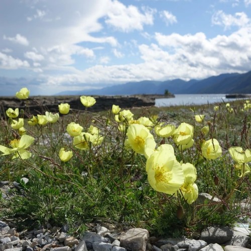 На выходные к Байкалу: Малое Море, Тажеранские степи и река Бугульдейка