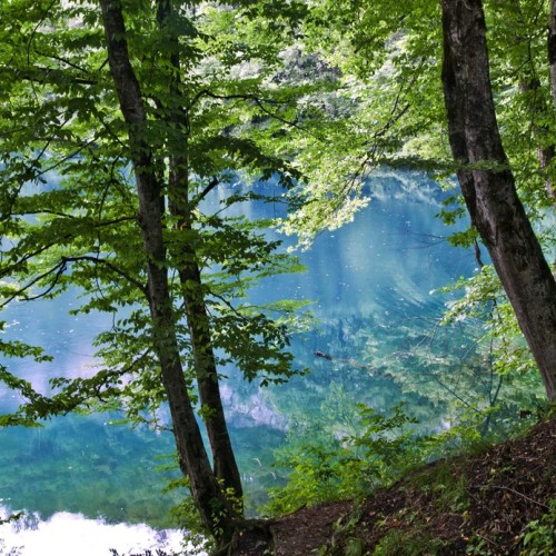 С комфортом по красотам Северного Кавказа: Эльбрус, Домбай, Кисловодск, Пятигорск и Чегем