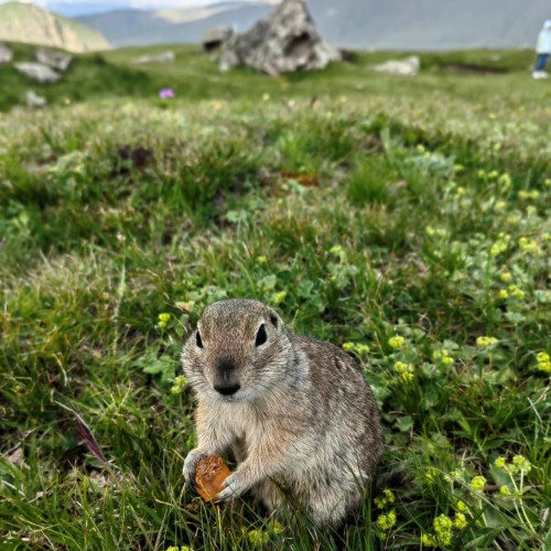 Три счастливых дня: Чегем, Эльбрус, Чегет и другие красоты Приэльбрусья в мини-группе