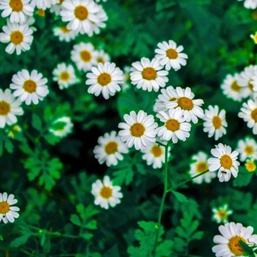 За раз весь Северный Кавказ: большое путешествие по всем республикам