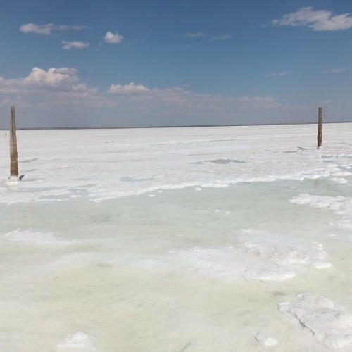 Экспресс-тур в Астрахань: цветущие маковые поля, озеро Баскунчак и песчаный бархан Большой брат