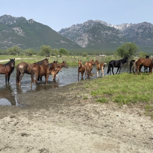 Время перезагрузки: индивидуальный тур на Байкал со стороны Бурятии