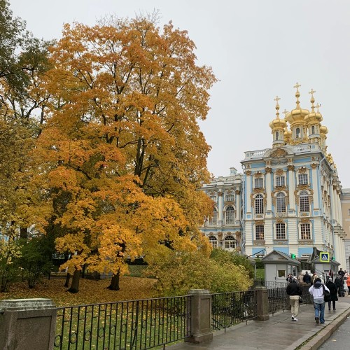 Царское Село: Екатерининский и Александровский дворцы