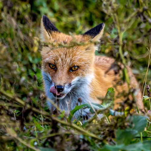Джип-тур на Итуруп и Шикотан в мини-группе: неизведанные места, релакс в термах и гастрономия