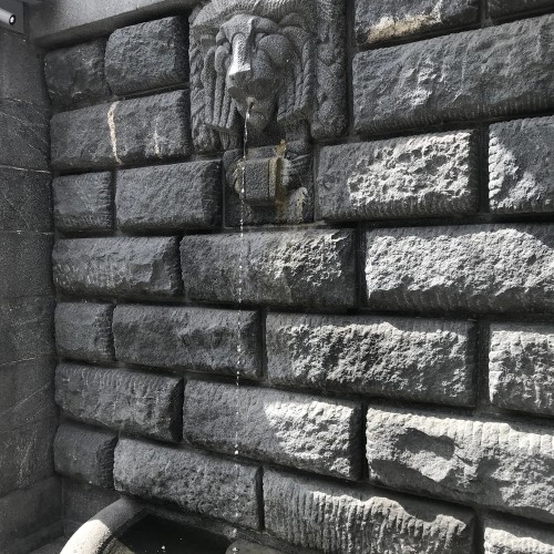 Авторская прогулка «Настоящий Невский»