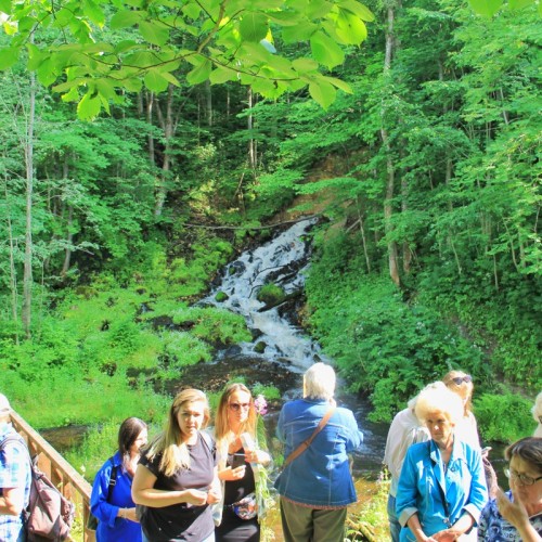Тихвинские тропы и парк «Вепсский лес» — из Петербурга