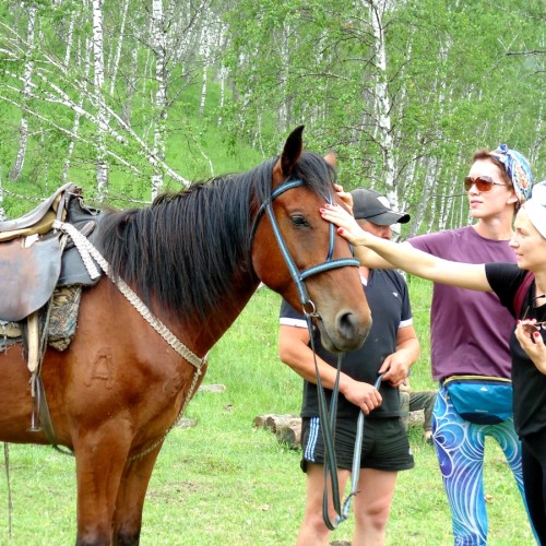 Конная прогулка вдоль горной реки Семы