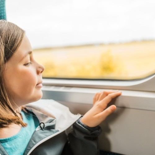 В Тулу и Елец на поезде из Москвы