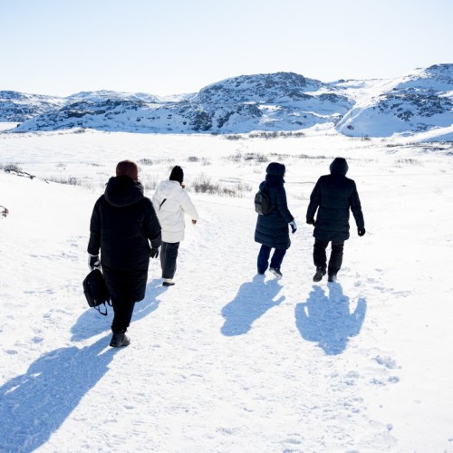 На Север за впечатлениями: северное сияние, Териберка, саамская деревня, хаски и олени