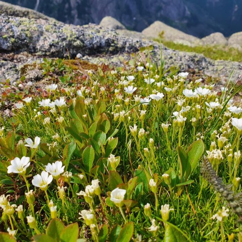 Сокровища природного парка «Ергаки»: треккинг с рюкзаками и ночёвками в палатках