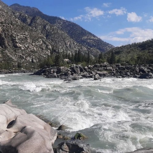 Нескучный Чуйский