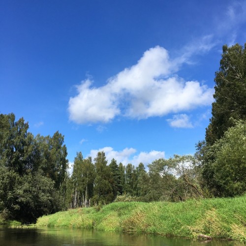 В объятиях Тьмы: лёгкий сплав на байдарках (всё включено)
