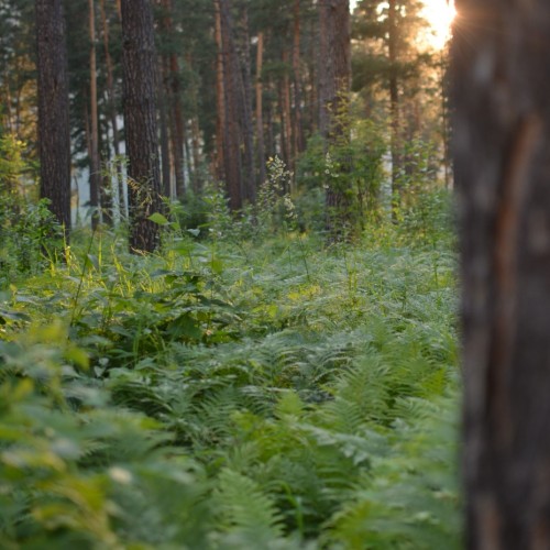 Знакомство с Алтаем своей компанией: снежные вершины, кристальные озёра и заповедные тропы