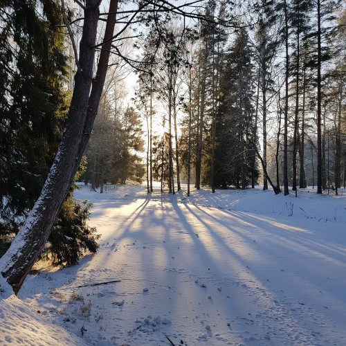 Романтический Павловск: по дворцу и парку с персональным гидом