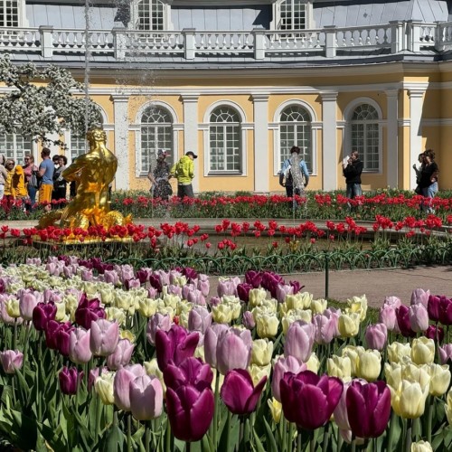 Парк и фонтаны Петергофа (всё включено)