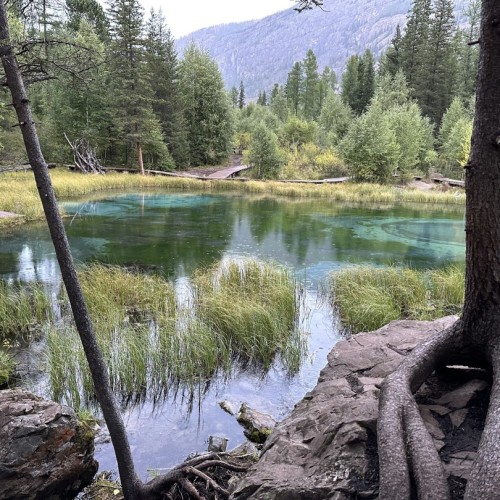 Дух Алтая: путешествие по знаковым локациям