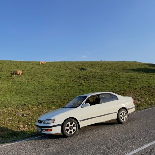 Природные жемчужины Домбая: в мини-группе по горам, озёрам и ущелью