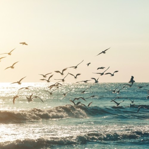 На поезде к жемчужинам Кавказа: города, горы, кухня, традиции 5 республик