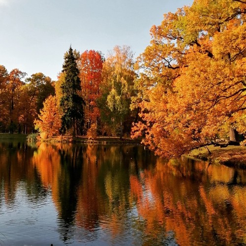 Велоэкскурсия по Царскому Селу