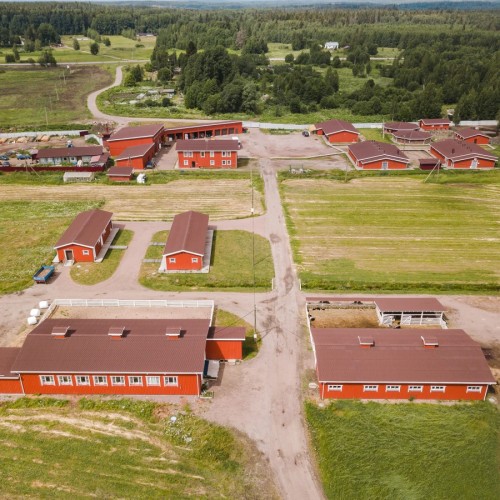 Гастрономический Выборг — из Петербурга