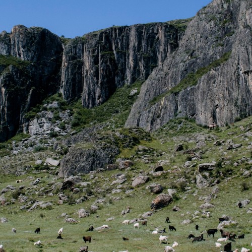 Увидеть Алтай во всей красе: Чуйский тракт, Гейзерное озеро, Марсианские пейзажи, горы и перевалы