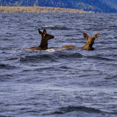 Топовые места Алтая в мини-группе: Гейзерное озеро, Чуйский тракт, долина Горных духов и Патмос