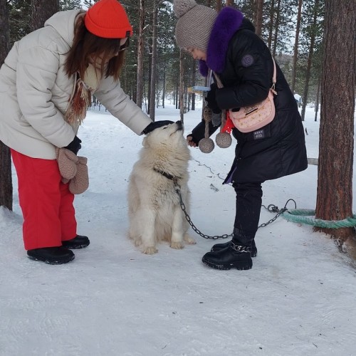 Главные локации и гастровпечатления Заполярья: тур в мини-группе по Мурманску и Териберке