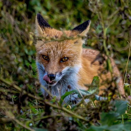 Шикотанский трип: тур по главным островным достопримечательностям