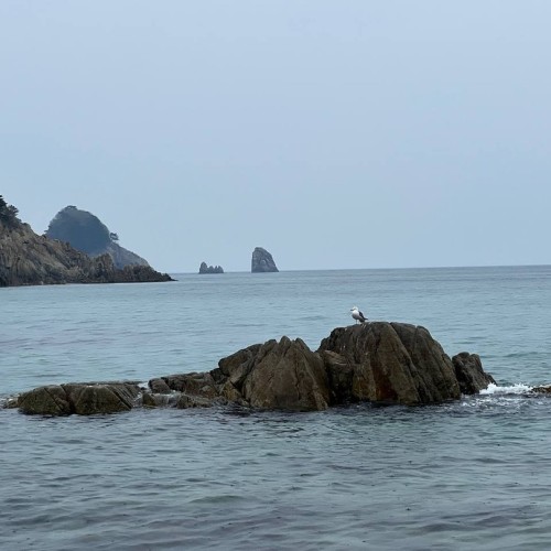 Гастрономическое путешествие в русский Сан-Франциско