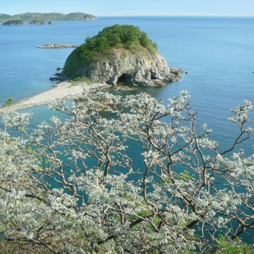 Всё самое интересное на юге Приморья