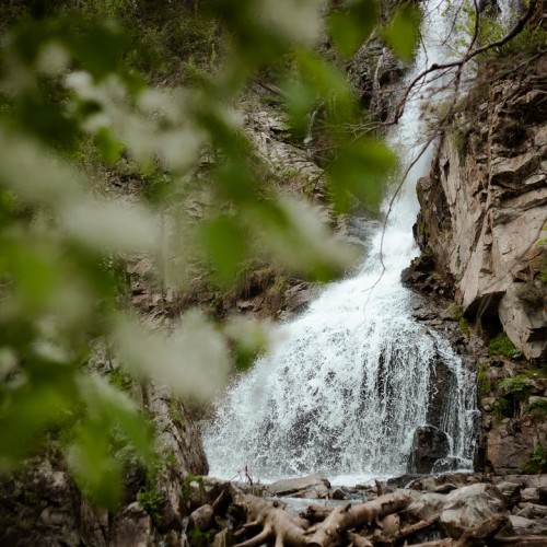 Автотур по Золотому кольцу Алтая с прогулками и посещением Телецкого озера