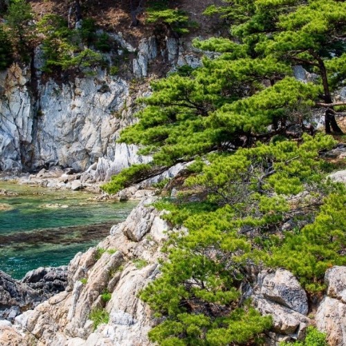 Всё самое интересное на юге Приморья