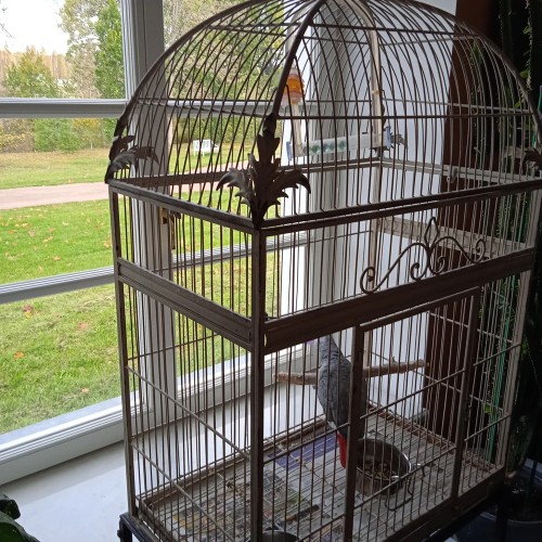 В усадьбу Марьино и к Саблинским водопадам