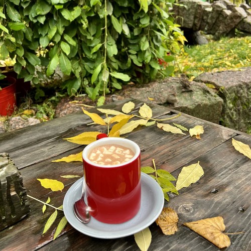 Петербург для жаворонков, или Утренняя прогулка по Петроградской стороне