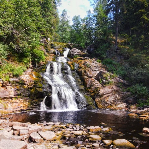 Дом у озера: отдых на берегу Ладоги и экскурсии