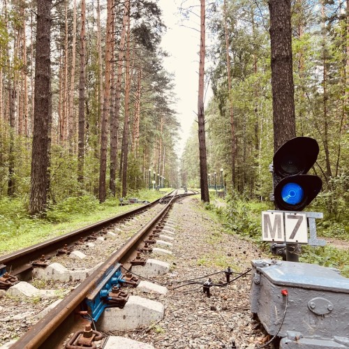 Велопрогулка по окрестностям Новосибирска