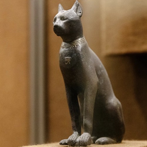 Экскурсия-квест для детей «коты в Эрмитаже»