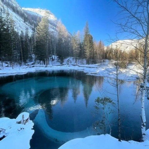 Зимний Алтай: снежные горы, незамерзающие озёра и тысяча лебедей