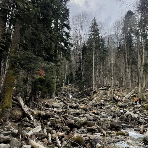 По Домбаю в мини-группе: горы, озеро Кара-Кёль и Тебердинский заповедник