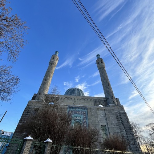 Северный модерн Петроградской стороны