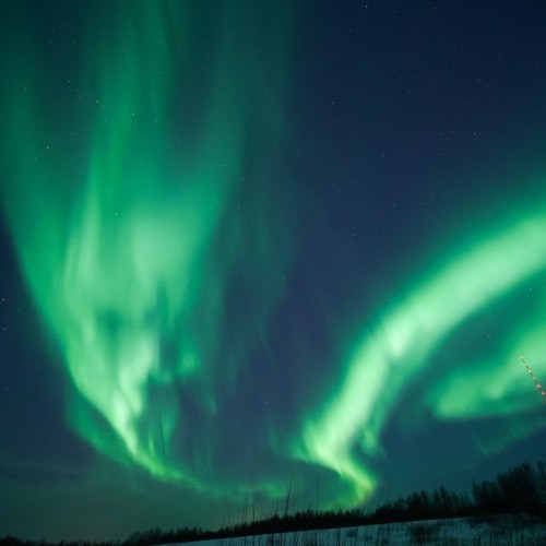 Териберка, Мурманск и деревня саамов: приключения на Кольском с поездкой за сиянием и поиском китов