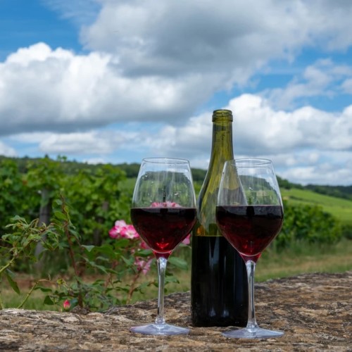 Маршруты выходного дня из Краснодара с купанием в источниках и винной дегустацией