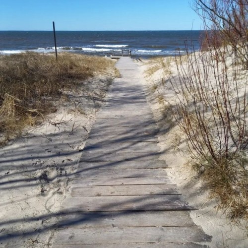 Увлекательные выходные: Калининград и курортные городки с местным гидом