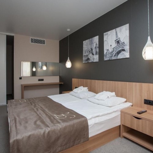 В Рязань на фестиваль воздушных шаров «Небо России»