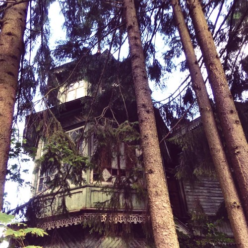 Оллинпяя — заповедник старинных дач