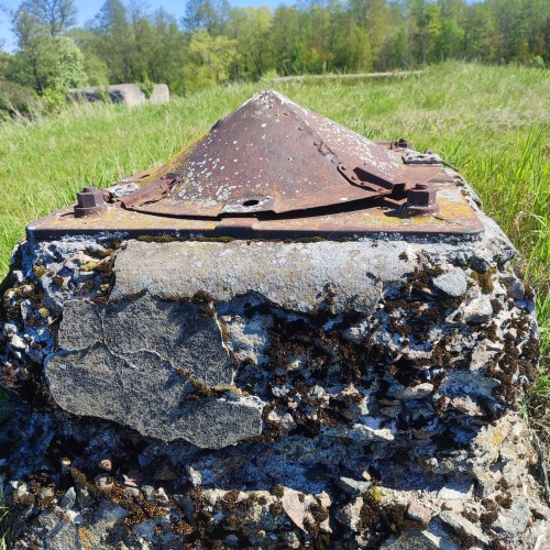 Экскурсия 3 в 1: Кронштадт + батарея Демидов + заказник Западный Котлин