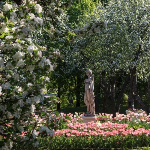 Москва сквозь века: автобусный тур по знаковым локациям столицы и окрестностей