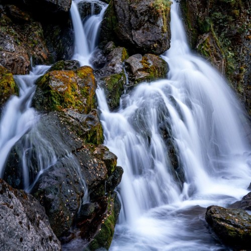 Духовные практики и знаковые места Горного Алтая. Тур в мини-группе из Новосибирска, всё включено