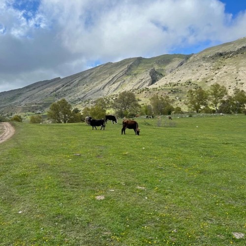 Знаменитые места Дагестана за 3 дня в мини-группе