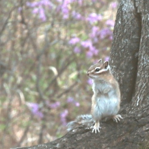 Сокровища Восточной Сибири: Иркутск, Аршан, Тункинская долина и Ольхон